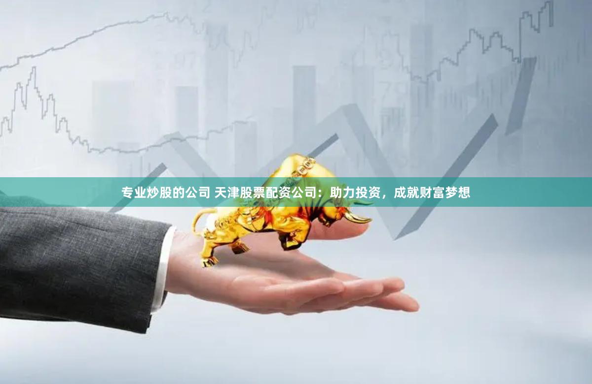 专业炒股的公司 天津股票配资公司：助力投资，成就财富梦想