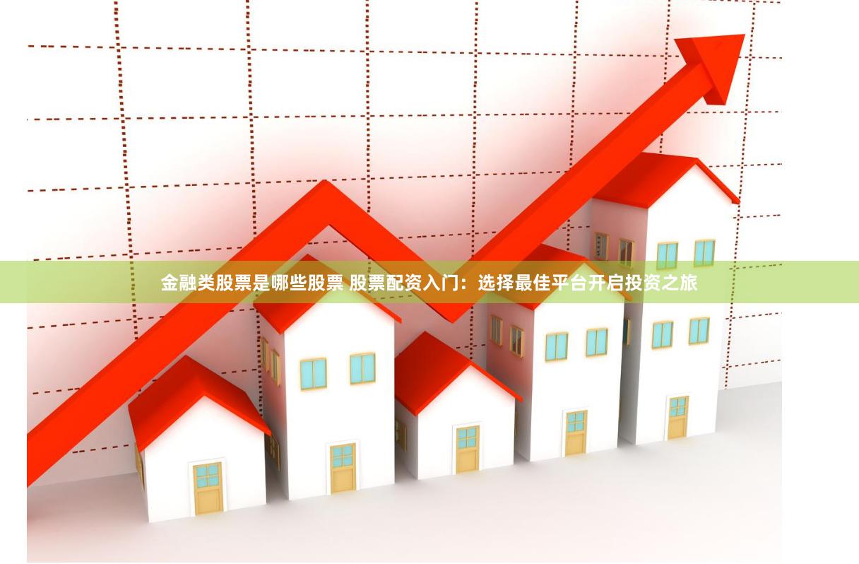 金融类股票是哪些股票 股票配资入门:选择最佳平台开启投资之旅