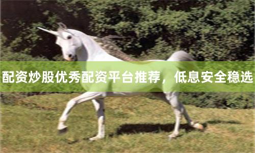 配资炒股优秀配资平台推荐,低息安全稳选