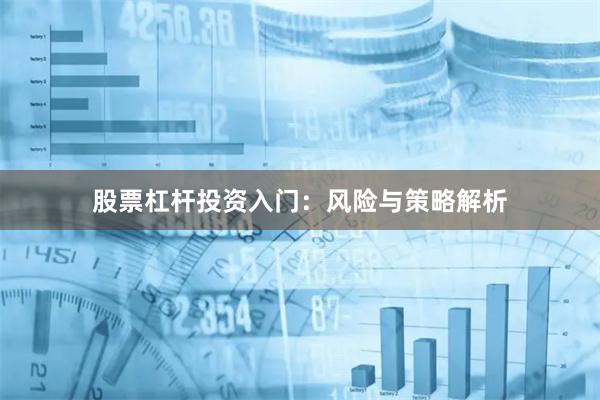 股票杠杆投资入门：风险与策略解析